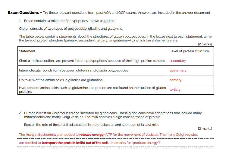 Protein Synthesis Worksheet Answers 2