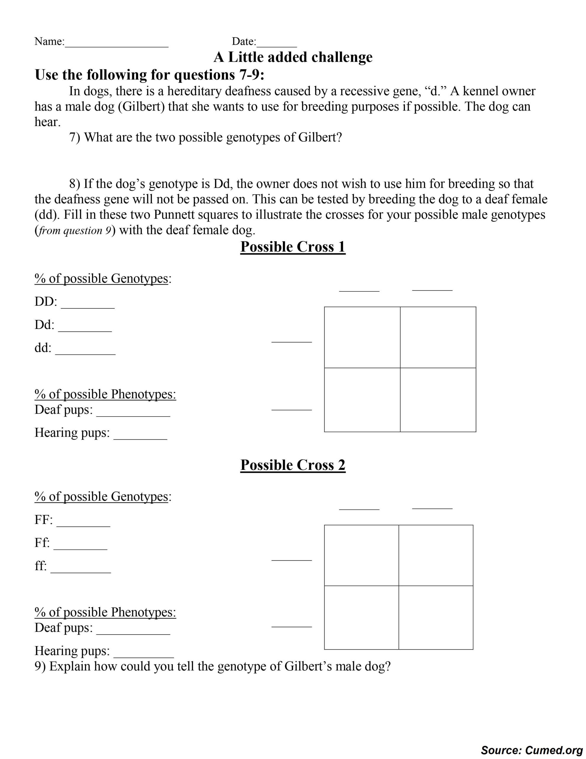 Punnett Square Practice Problems Worksheet